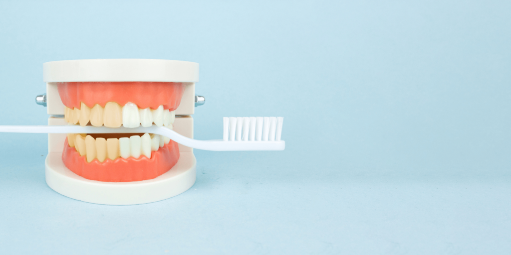 Izbeljivanje Zubi Prije Posle Cetkica